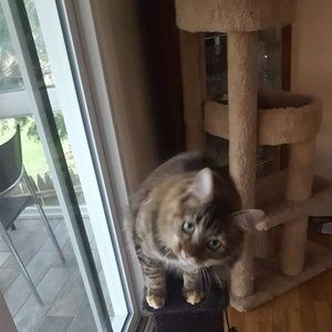 Meet your Posher, Lora